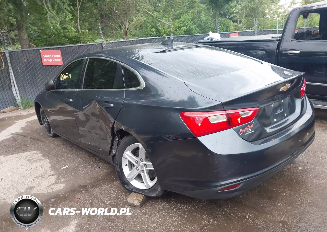 2019 Chevrolet Malibu 1Fl VIN:1G1ZC5ST0KF179653 - 3