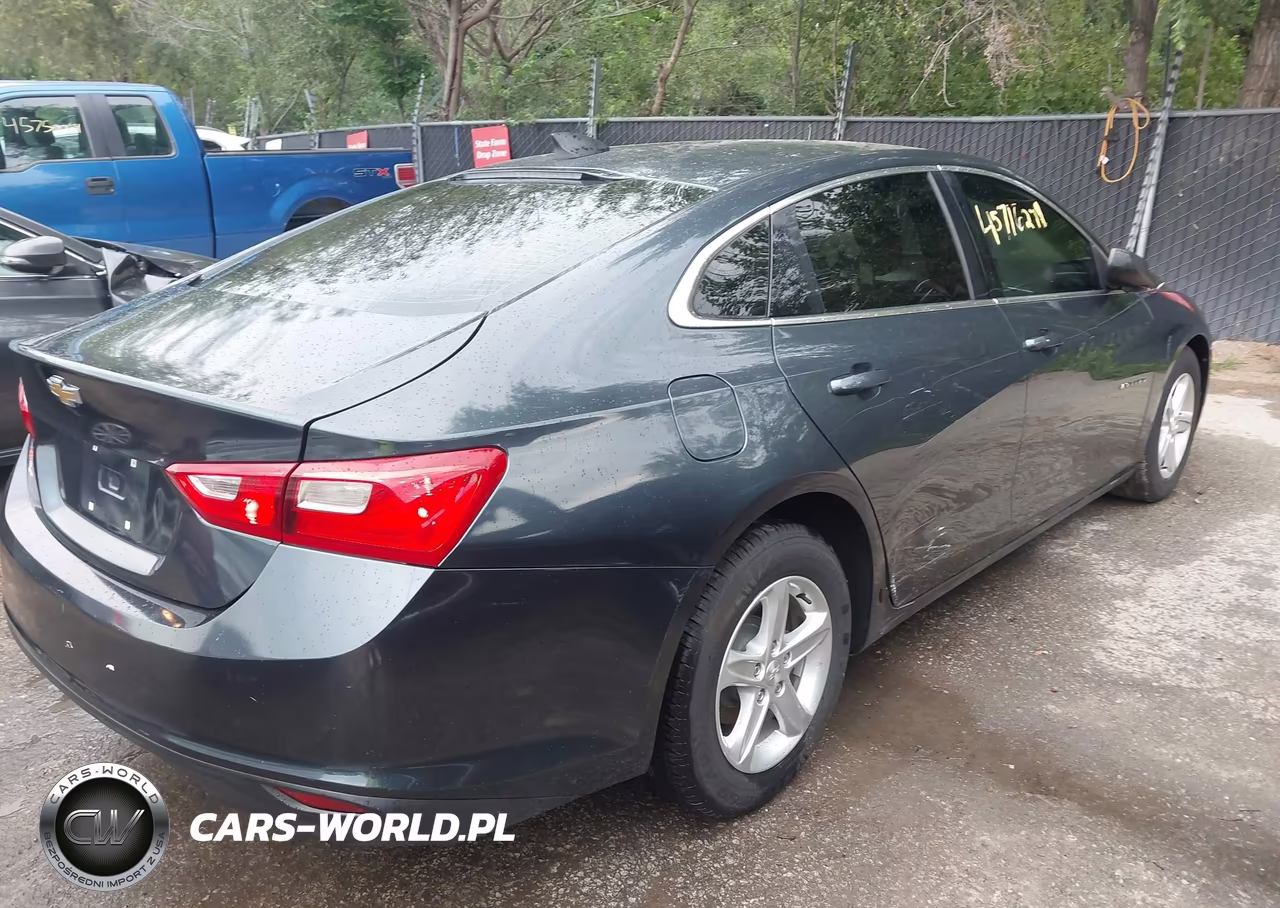 2019 Chevrolet Malibu 1Fl VIN:1G1ZC5ST0KF179653 - 4