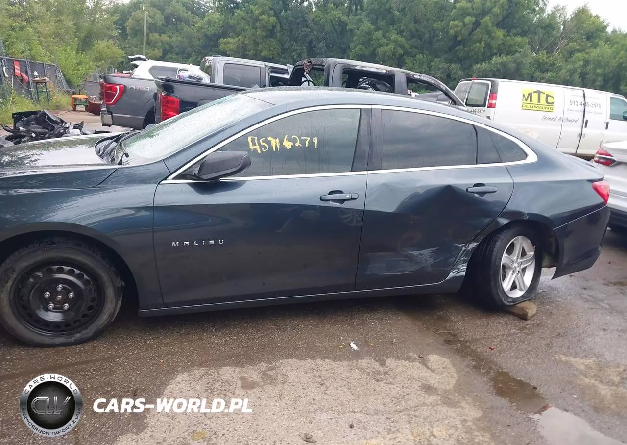 2019 Chevrolet Malibu 1Fl VIN:1G1ZC5ST0KF179653 - 6