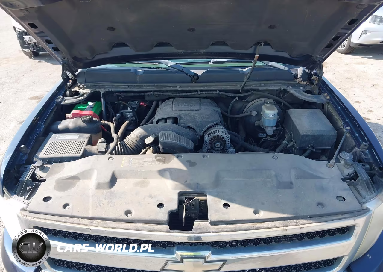2009 Chevrolet Silverado 1500 Lt VIN:1GCEC29099Z231001 - 10