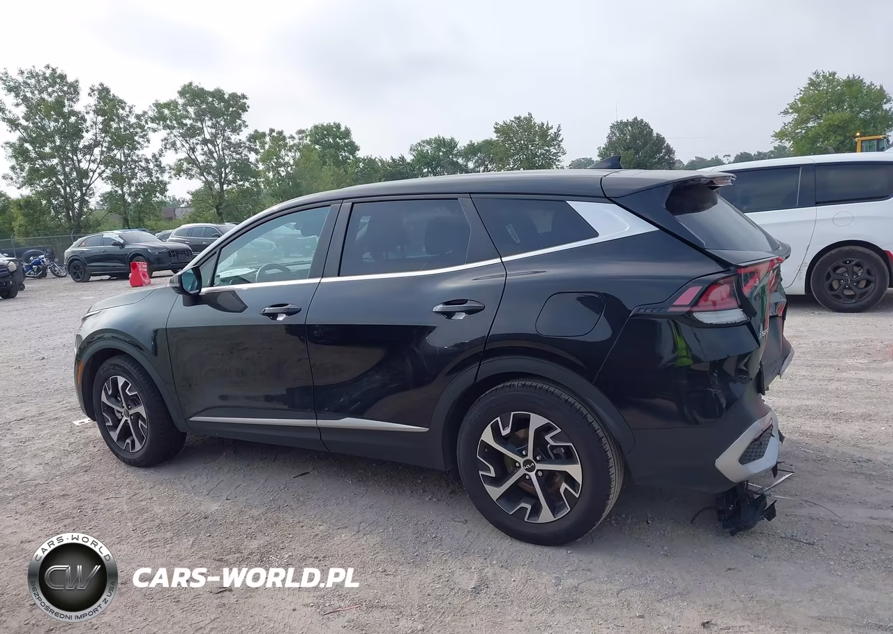 2024 Kia Sportage Ex VIN:5XYK33DF9RG207641 - 14