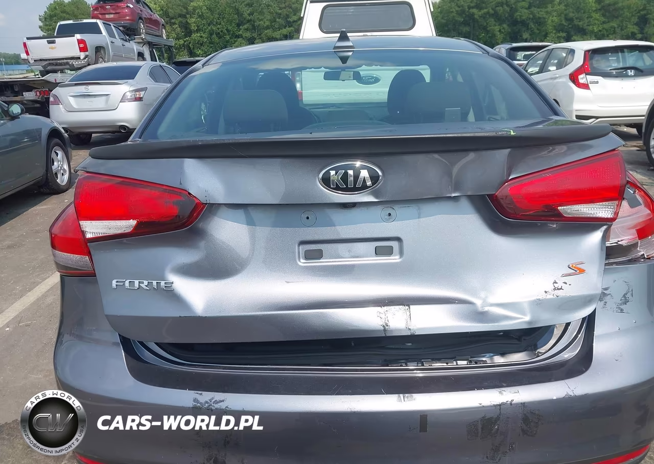 2018 Kia Forte S VIN:3KPFL4A7XJE219500 - 17