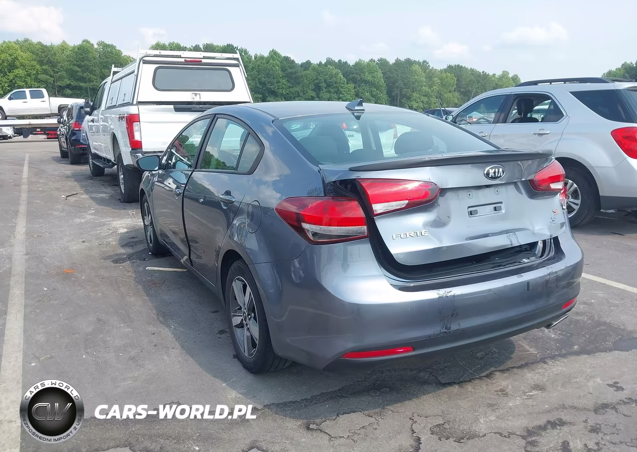 2018 Kia Forte S VIN:3KPFL4A7XJE219500 - 3