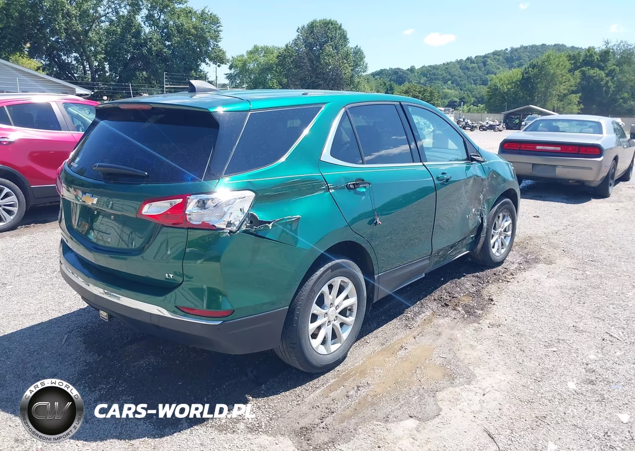 2019 Chevrolet Equinox Lt VIN:2GNAXJEV4K6241894 - 4