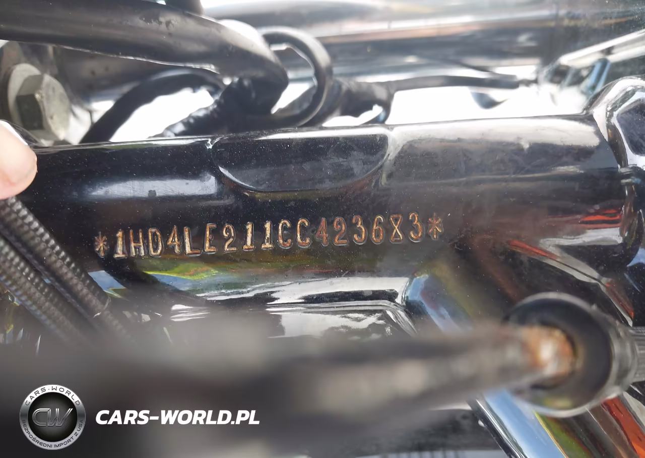 2012 Harley-Davidson Xl883 Iron 883 VIN:1HD4LE211CC423683 - 10