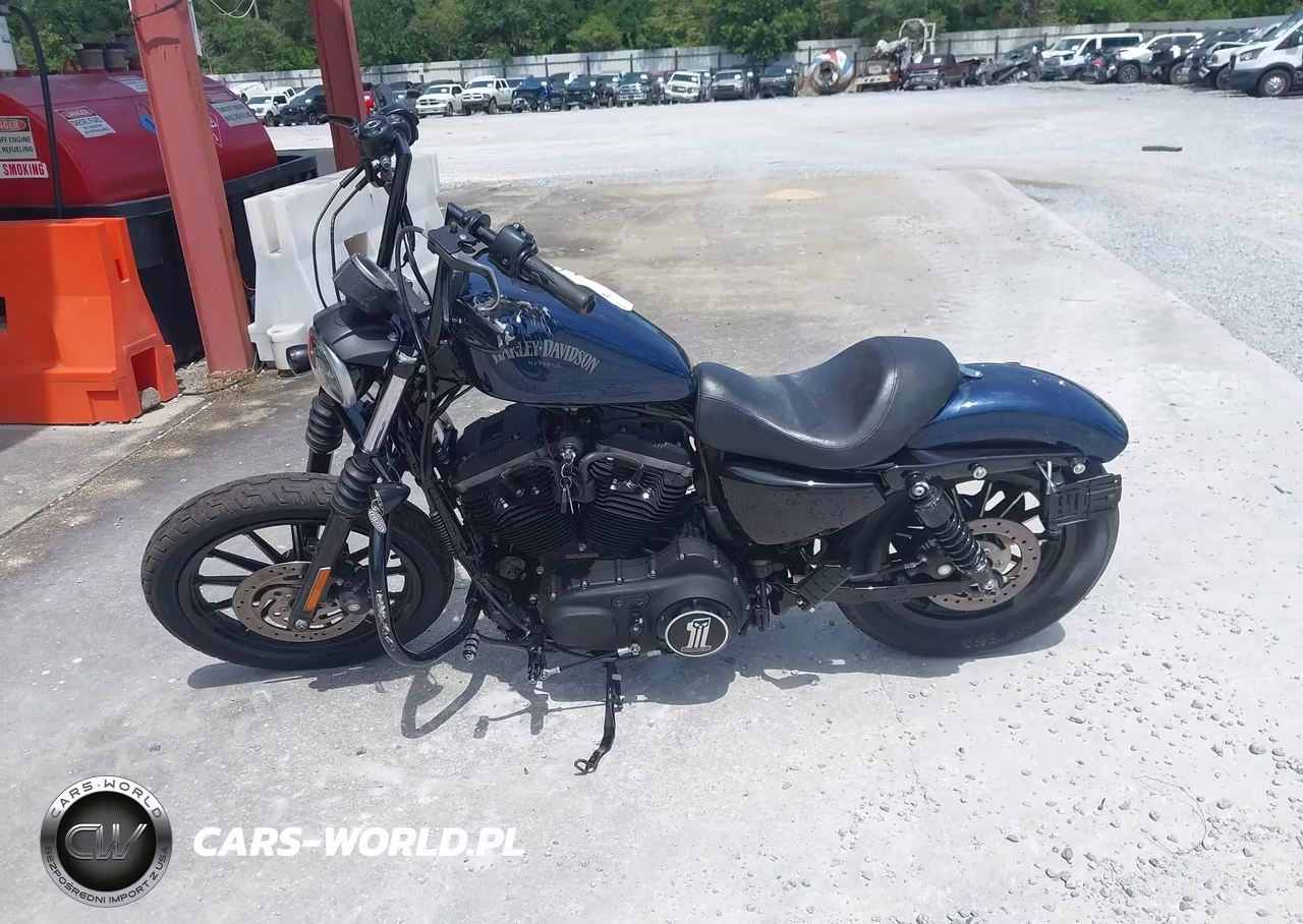2012 Harley-Davidson Xl883 Iron 883 VIN:1HD4LE211CC423683 - 13