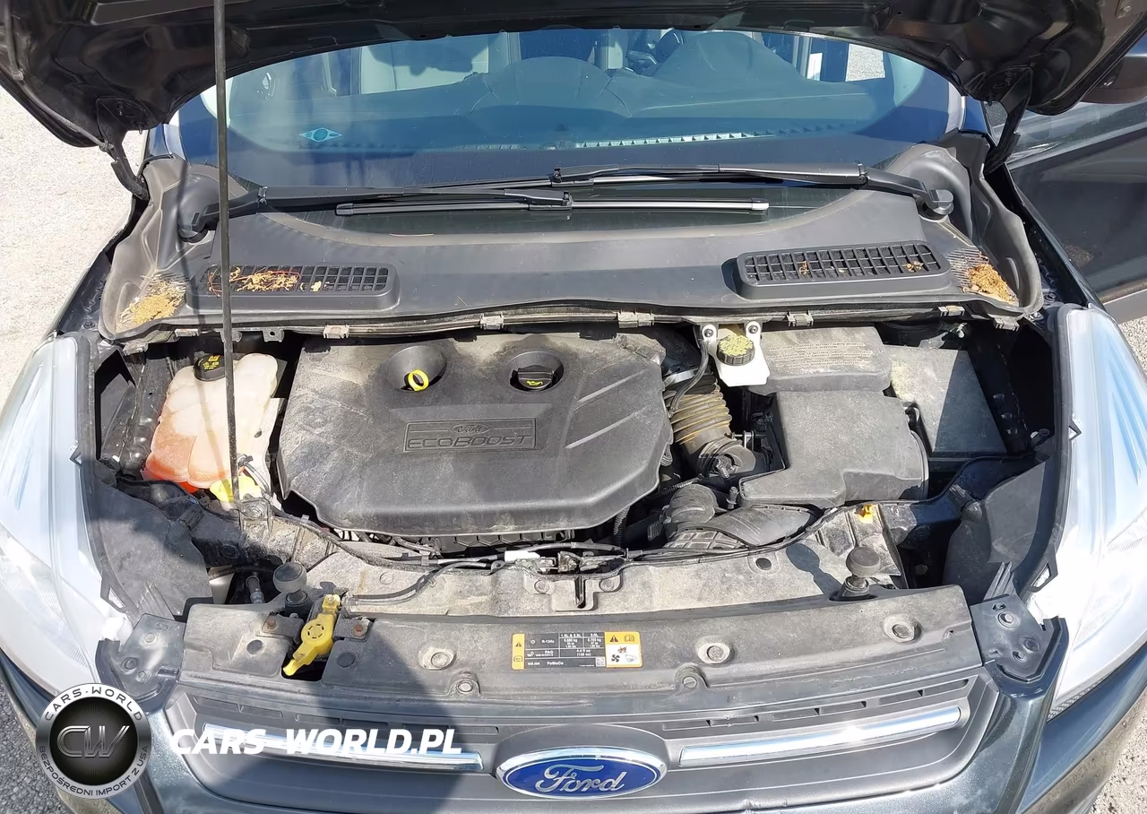 2014 Ford Escape Se VIN:1FMCU0G9XEUB27873 - 10