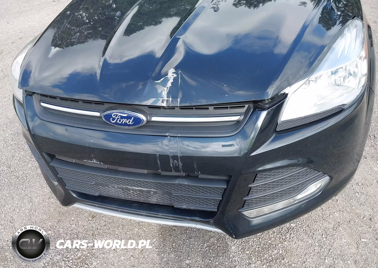 2014 Ford Escape Se VIN:1FMCU0G9XEUB27873 - 16