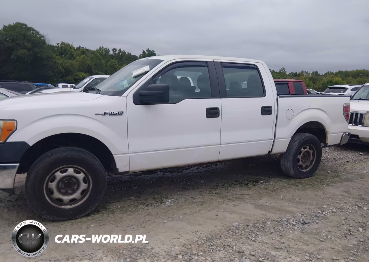 2012 Ford F-150 Xl VIN:1FTFW1EF2CKE34599 - 2