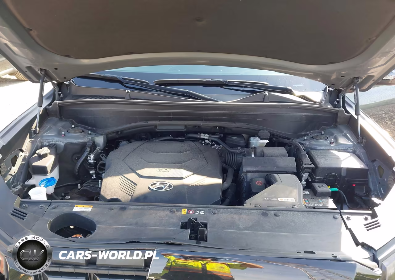 2024 Hyundai Palisade Xrt VIN:KM8R3DGE0RU783538 - 10