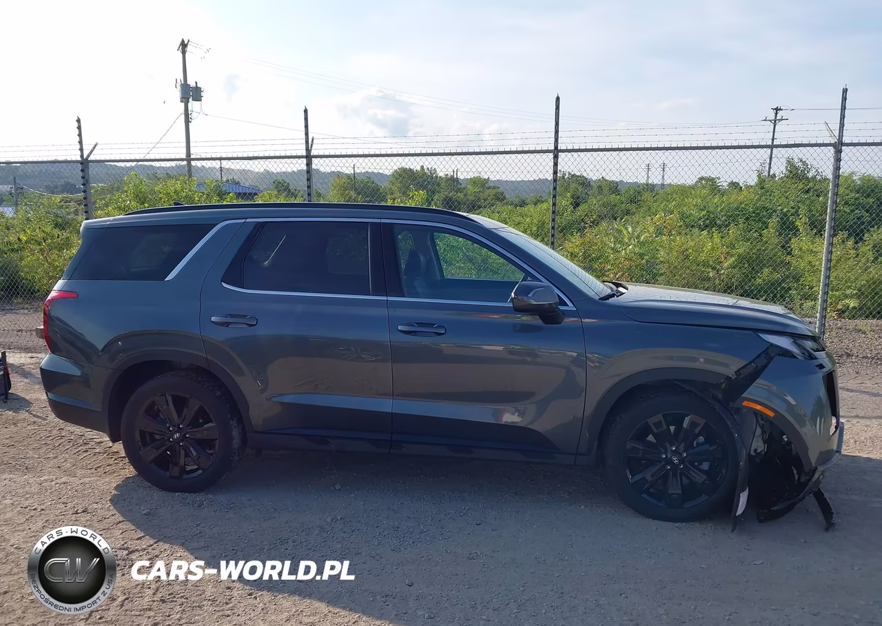 2024 Hyundai Palisade Xrt VIN:KM8R3DGE0RU783538 - 13