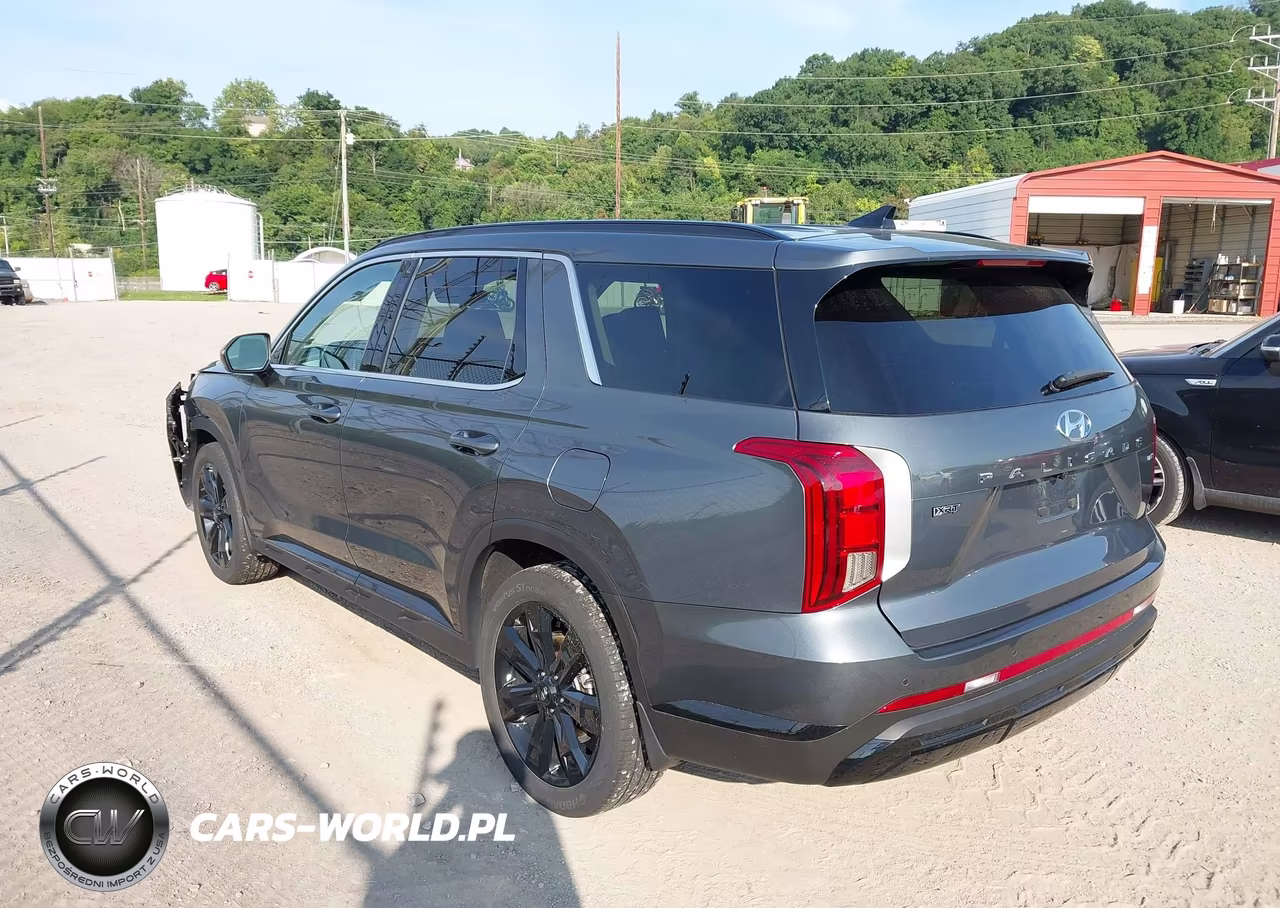 2024 Hyundai Palisade Xrt VIN:KM8R3DGE0RU783538 - 3