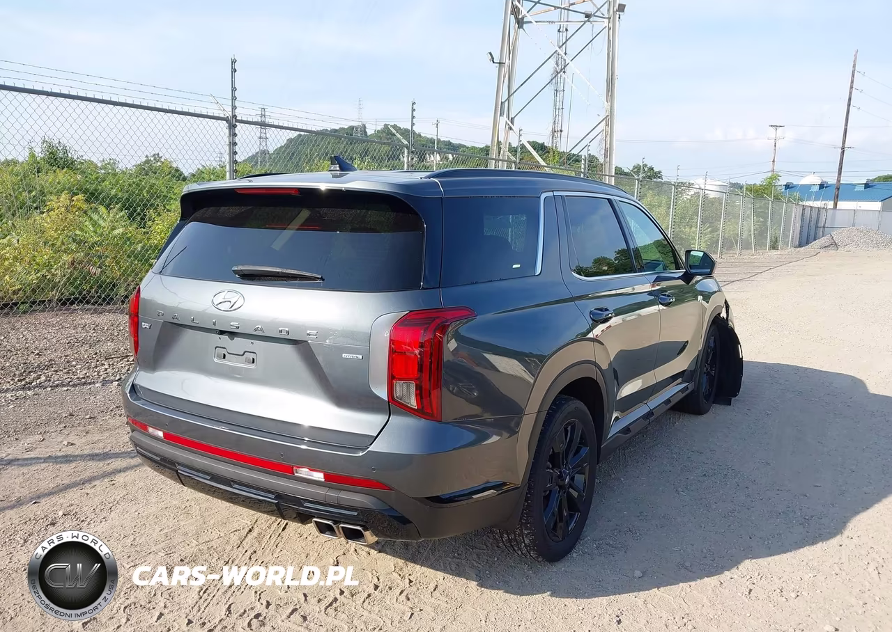 2024 Hyundai Palisade Xrt VIN:KM8R3DGE0RU783538 - 4