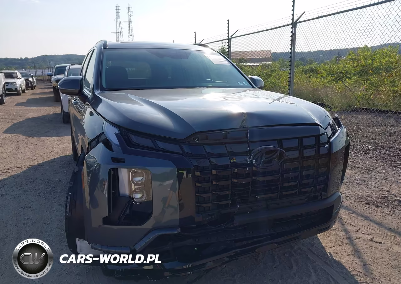 2024 Hyundai Palisade Xrt VIN:KM8R3DGE0RU783538 - 6