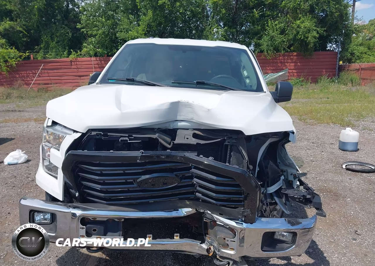 2015 Ford F-150 Xlt VIN:1FTEX1E87FFC41162 - 12