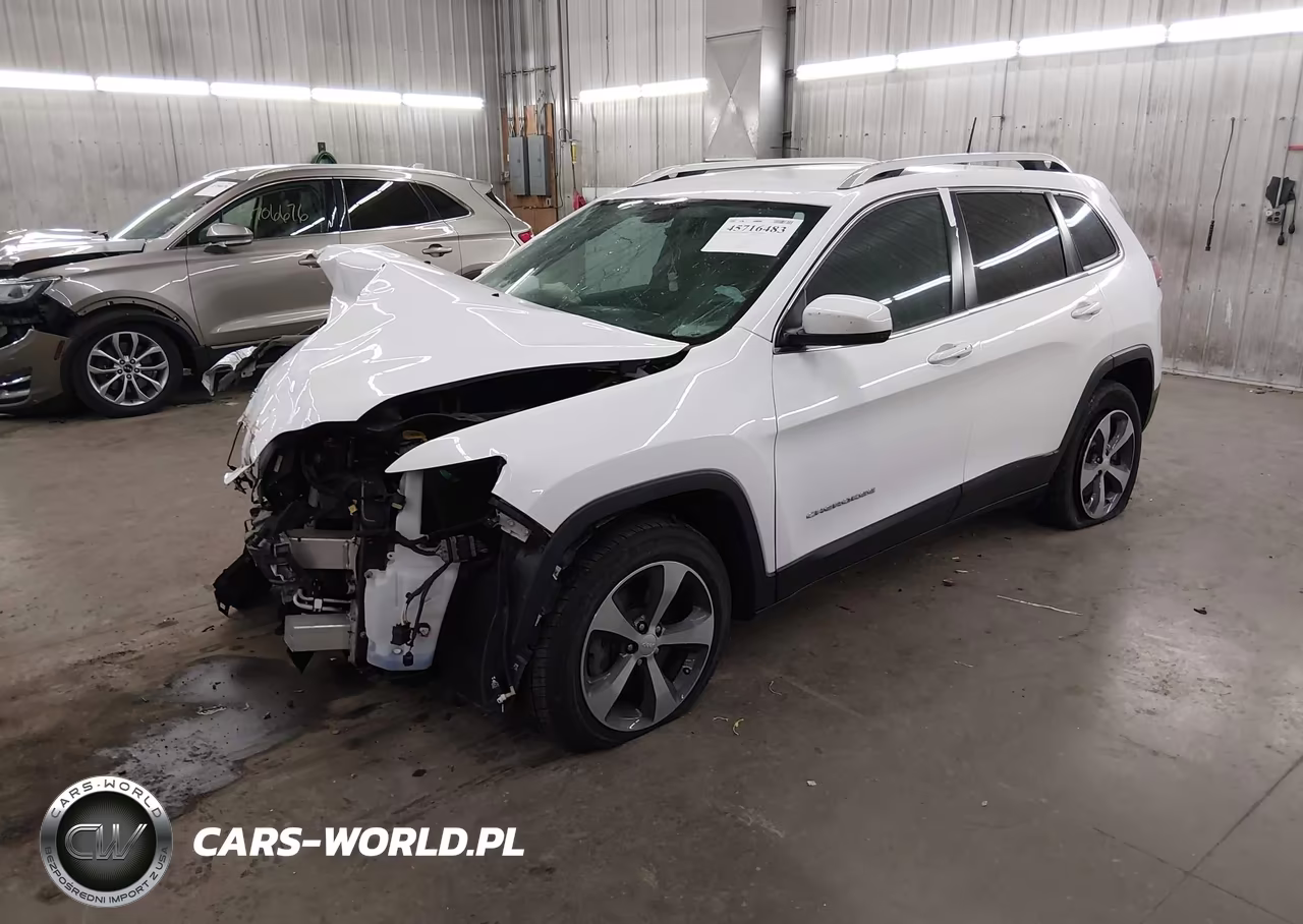 2019 Jeep Cherokee Limited 4X4 VIN:1C4PJMDNXKD207404 - 2