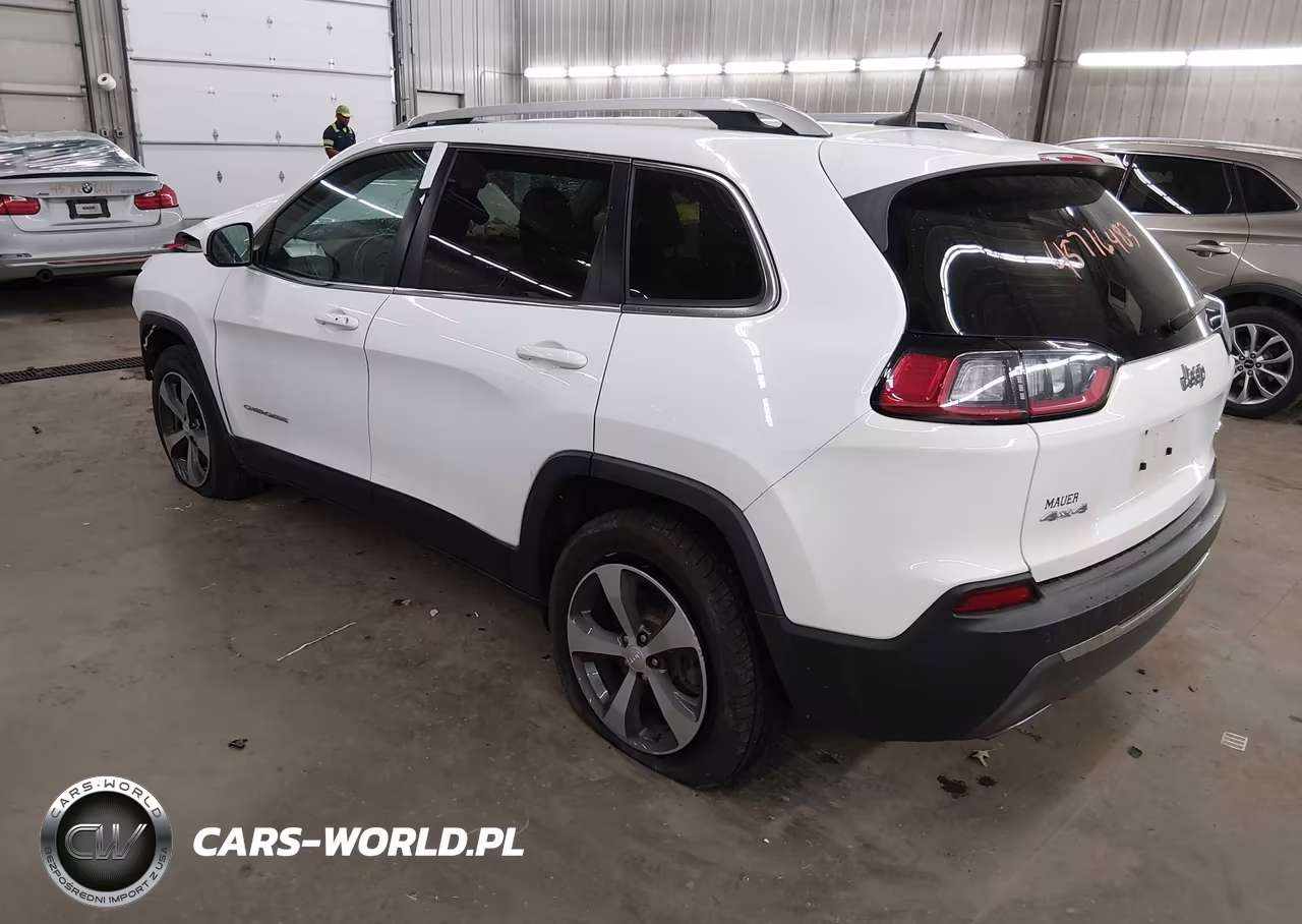 2019 Jeep Cherokee Limited 4X4 VIN:1C4PJMDNXKD207404 - 3