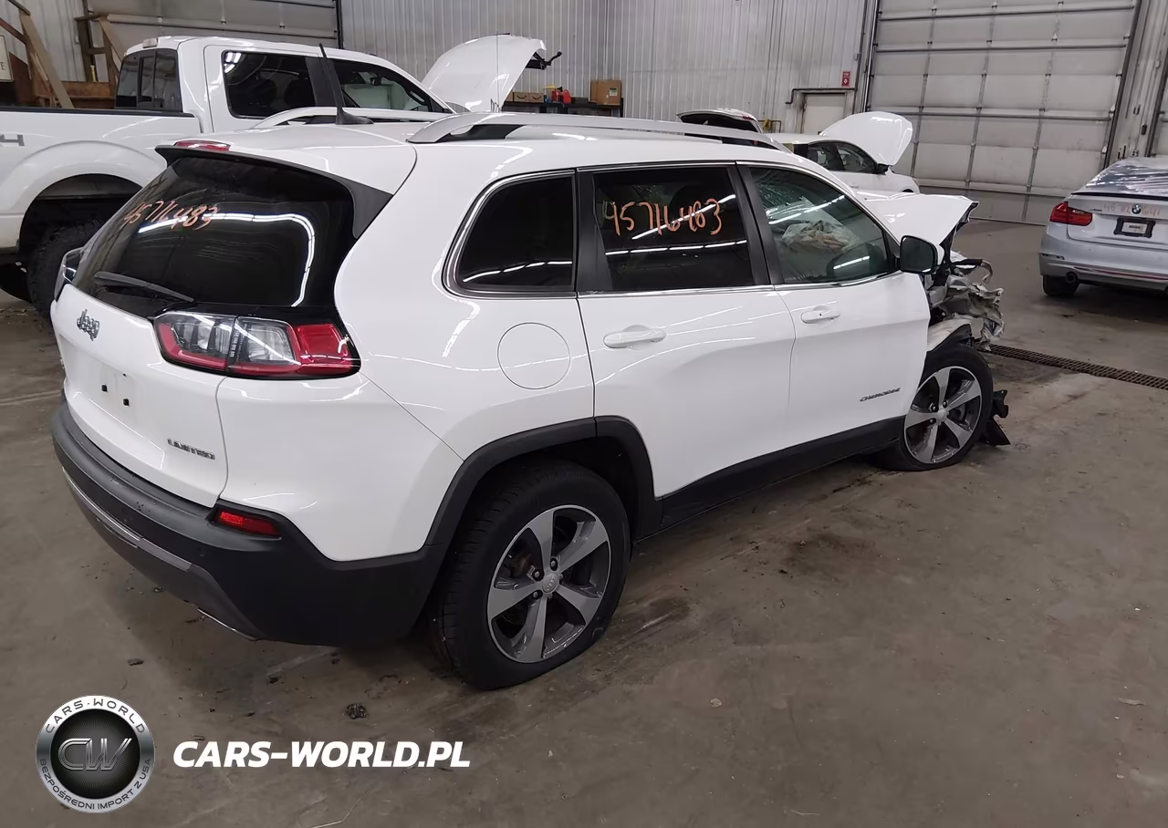 2019 Jeep Cherokee Limited 4X4 VIN:1C4PJMDNXKD207404 - 4