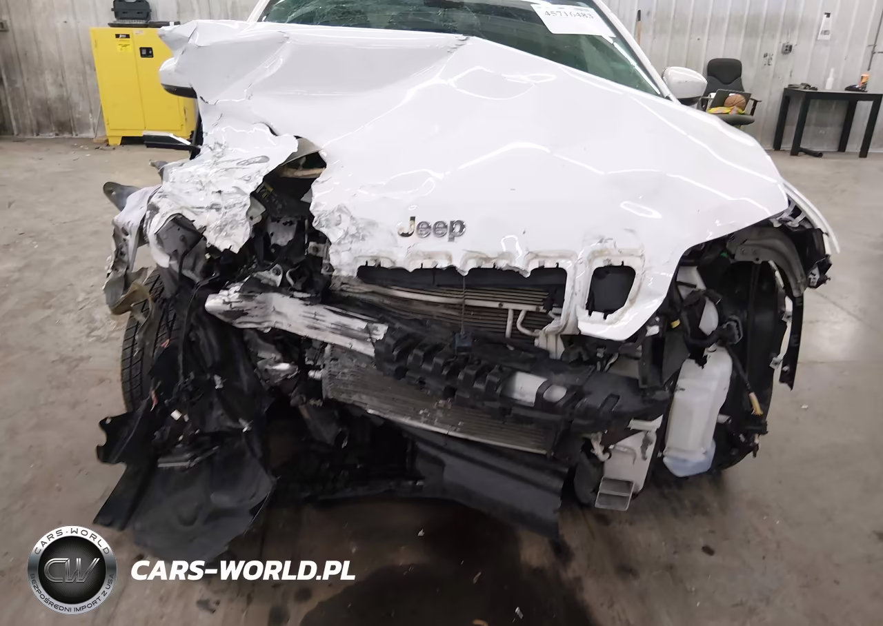2019 Jeep Cherokee Limited 4X4 VIN:1C4PJMDNXKD207404 - 6