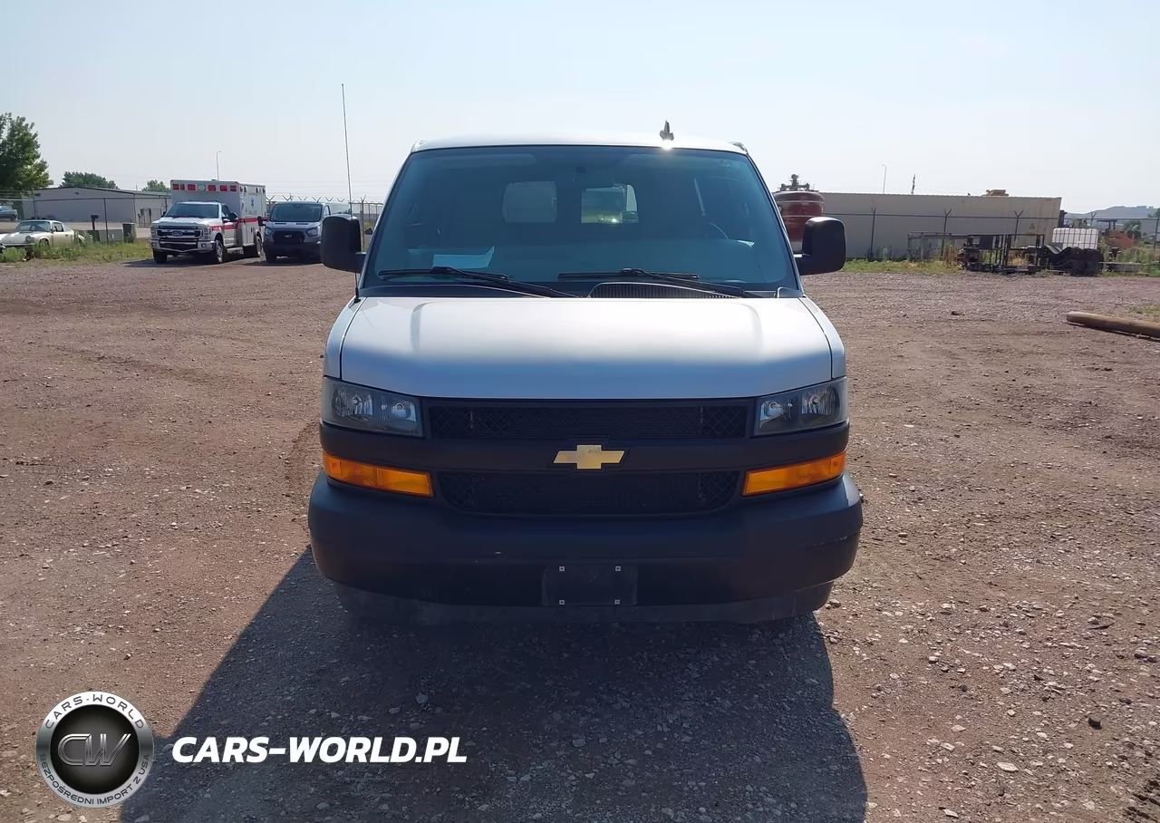 2020 Chevrolet Express Passenger Rwd 3500 Extended Wheelbase Ls VIN:1GAZGNFP1L1254330 - 12