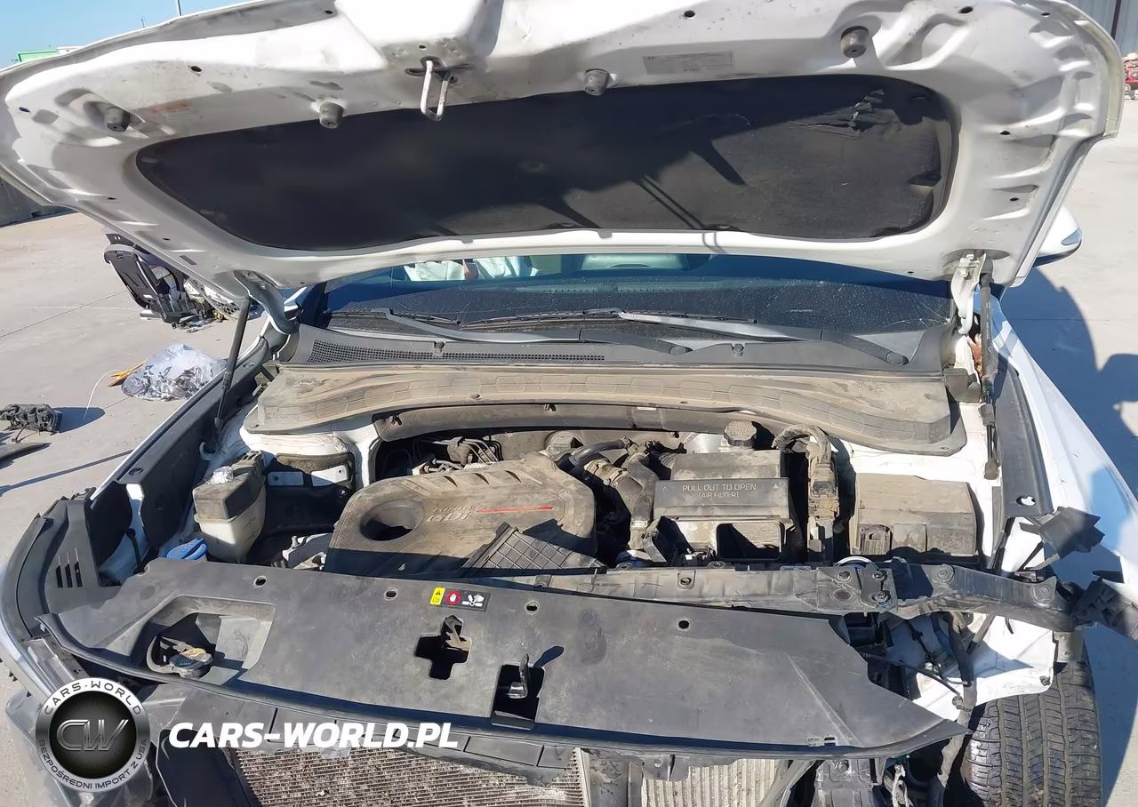 2019 Hyundai Santa Fe Limited 2.0T VIN:5NMS53AA1KH013801 - 10