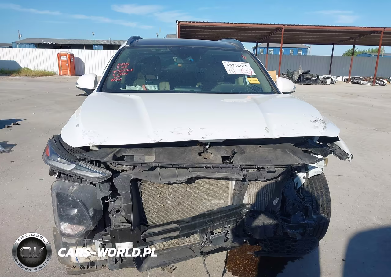 2019 Hyundai Santa Fe Limited 2.0T VIN:5NMS53AA1KH013801 - 12