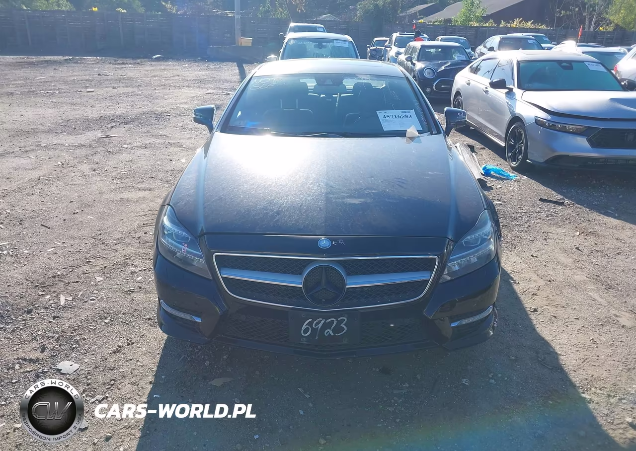 2014 Mercedes-Benz Cls 550 4Matic VIN:WDDLJ9BB3EA096923 - 12