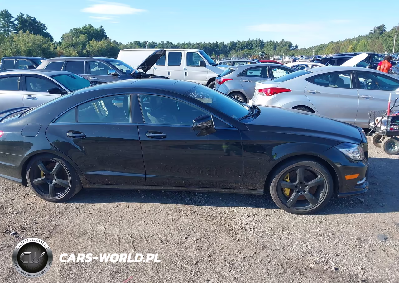 2014 Mercedes-Benz Cls 550 4Matic VIN:WDDLJ9BB3EA096923 - 13
