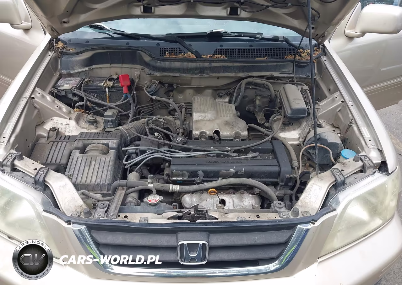 2001 Honda Cr-V Special Edition VIN:JHLRD18771C006111 - 10
