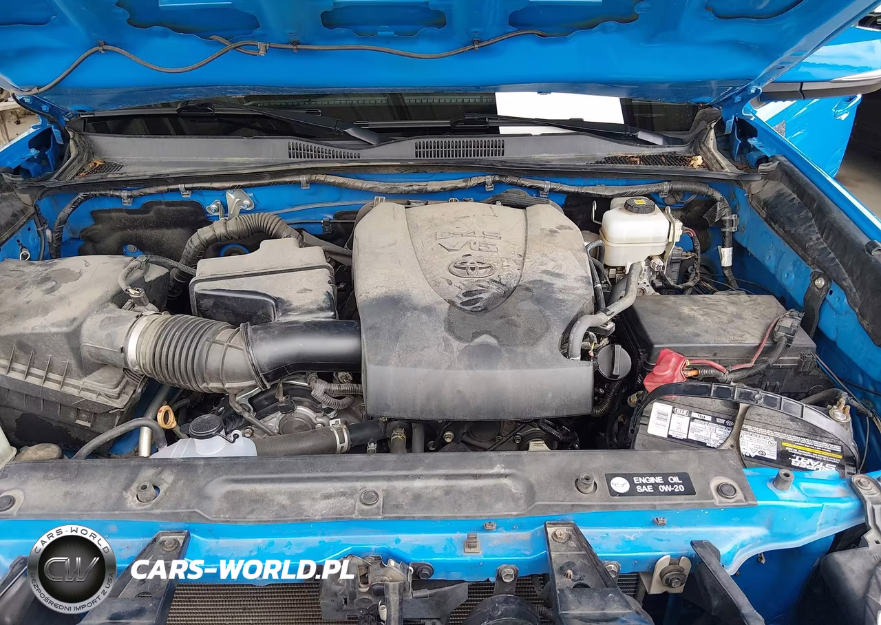 2019 Toyota Tacoma Trd Pro VIN:5TFCZ5AN2KX183504 - 10