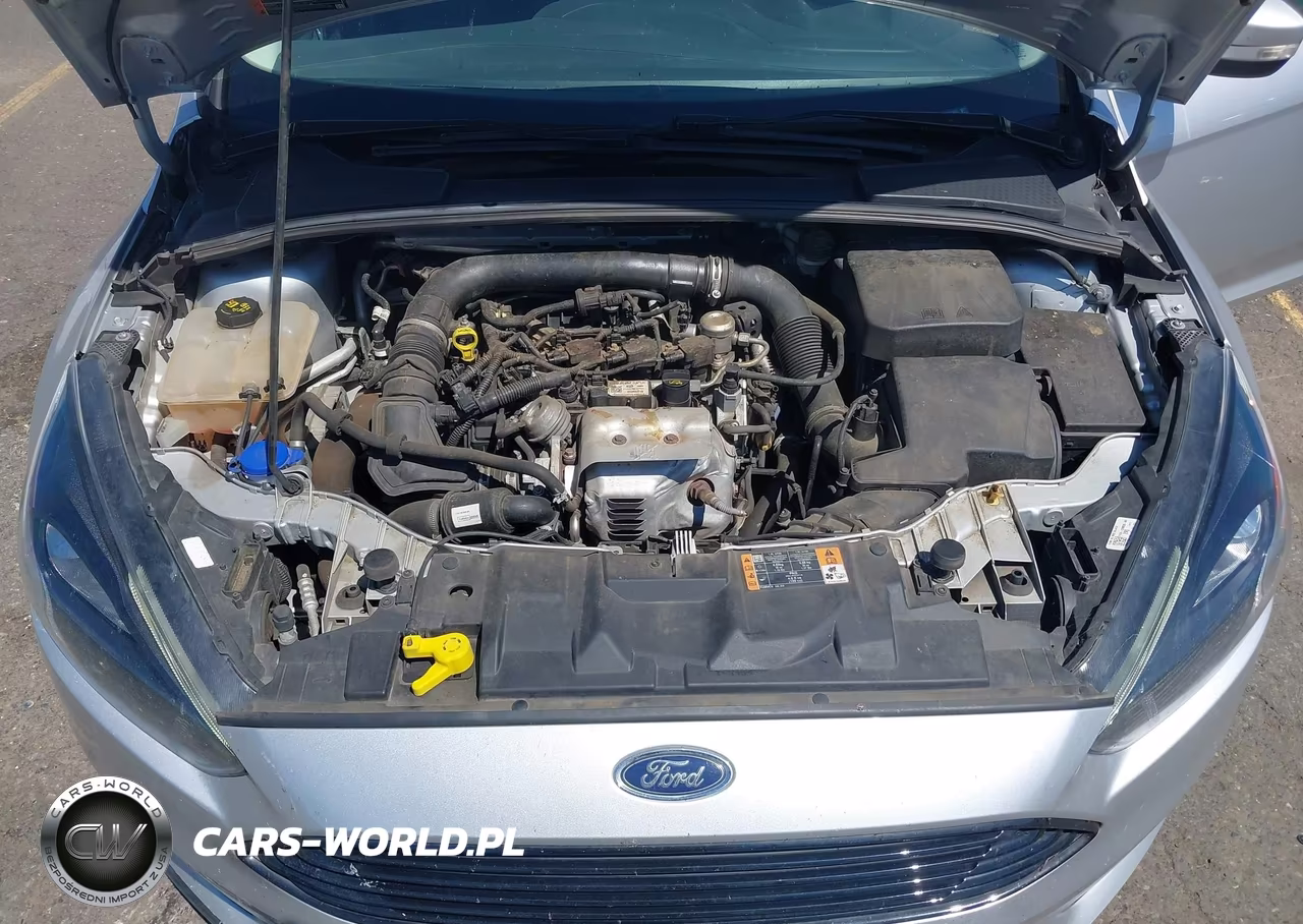 2016 Ford Focus Se VIN:1FADP3FE8GL363307 - 10