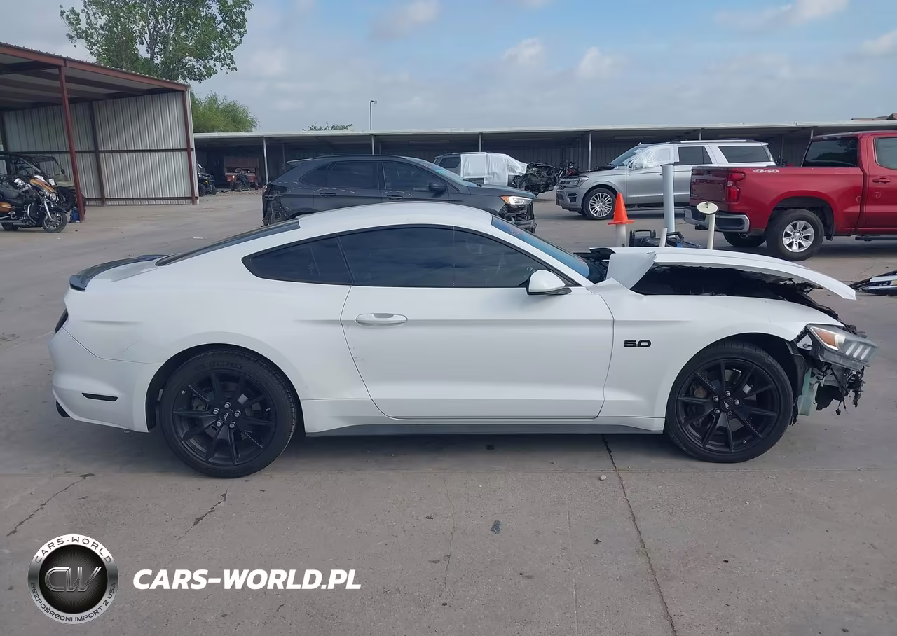 2017 Ford Mustang Gt VIN:1FA6P8CF8H5346158 - 13