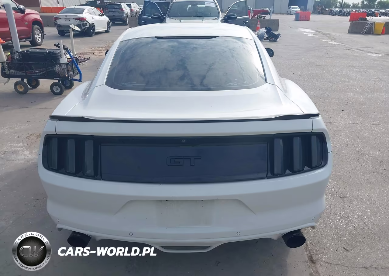 2017 Ford Mustang Gt VIN:1FA6P8CF8H5346158 - 16