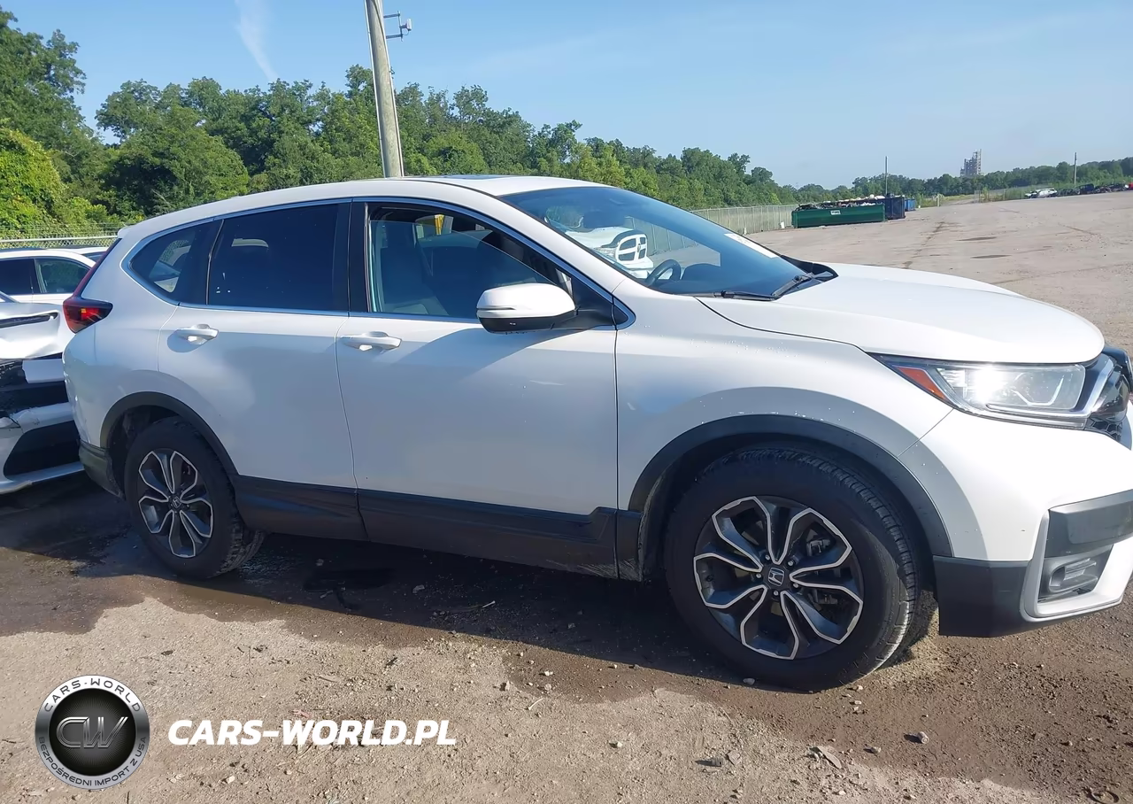2020 Honda Cr-V 2Wd Ex VIN:5J6RW1H54LL013312 - 13