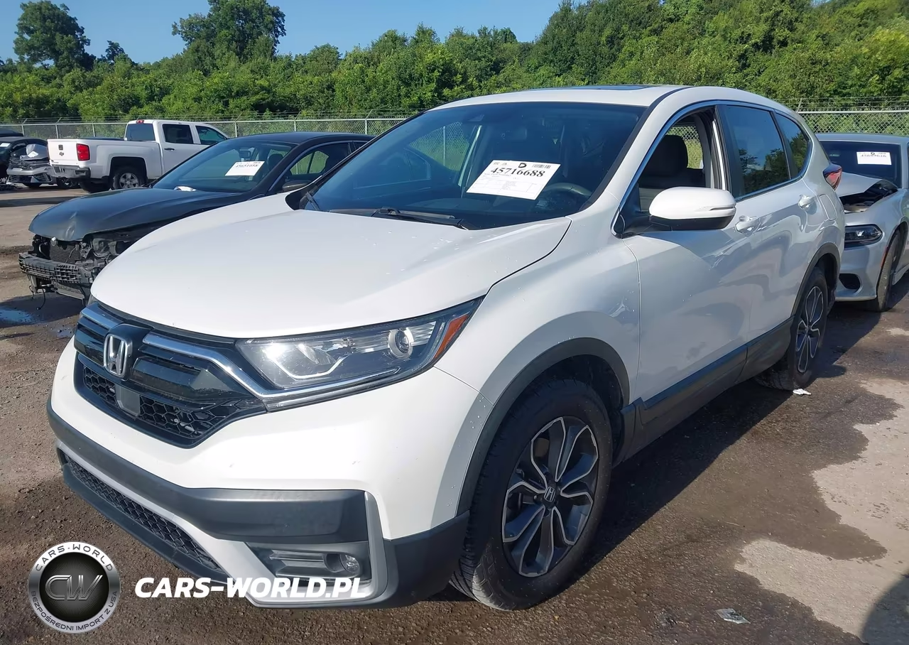2020 Honda Cr-V 2Wd Ex VIN:5J6RW1H54LL013312 - 2