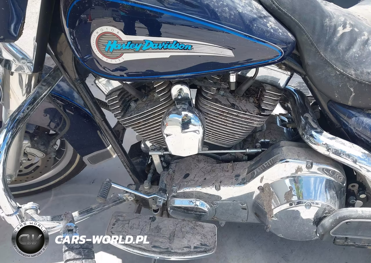 2003 Harley-Davidson Flhtci Shrine VIN:1HD1FKW1X3Y636024 - 9