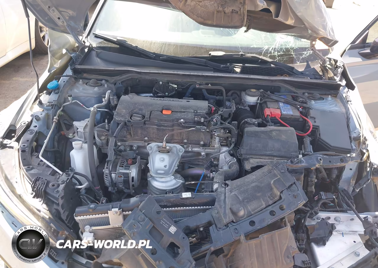 2024 Honda Civic Sport VIN:2HGFE2F55RH545566 - 10
