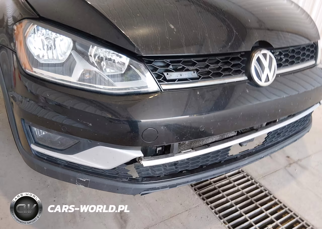 2017 Volkswagen Golf Alltrack VIN:3VWH17AU0HM512163 - 17