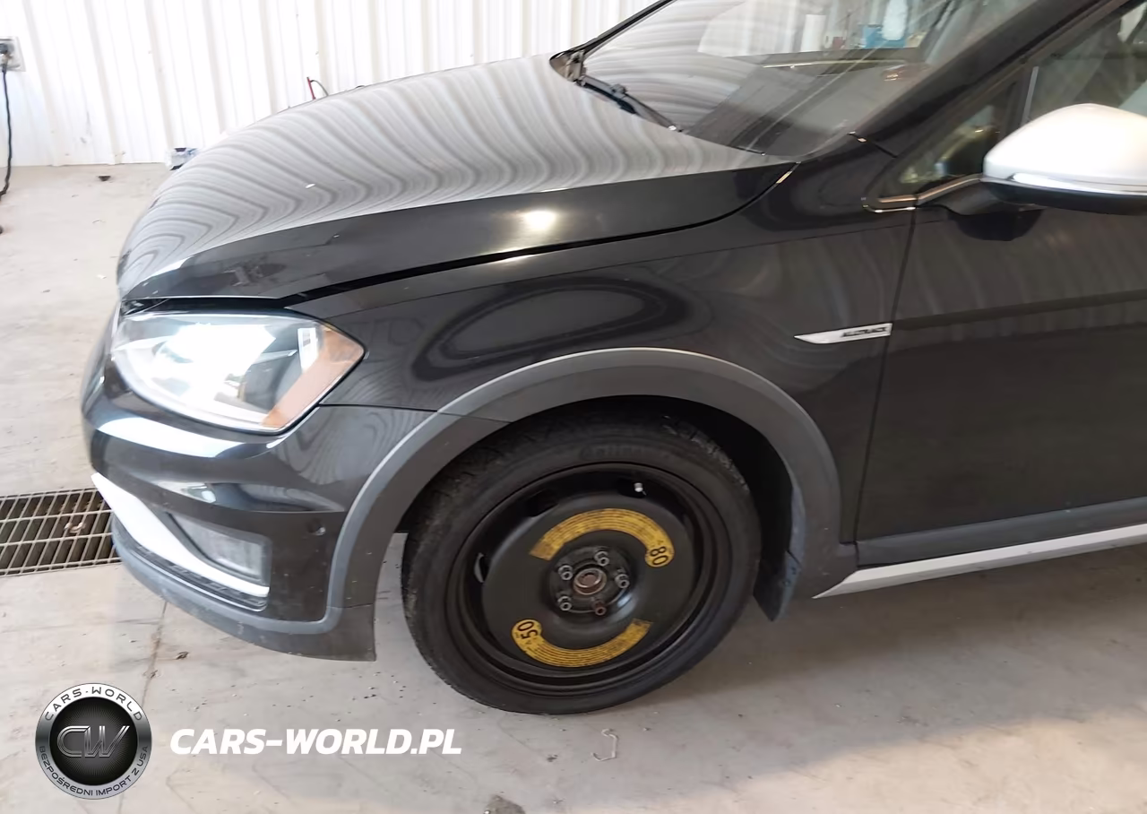 2017 Volkswagen Golf Alltrack VIN:3VWH17AU0HM512163 - 6