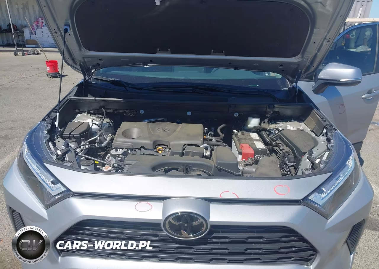 2024 Toyota Rav4 Xle VIN:2T3P1RFV8RW489632 - 10