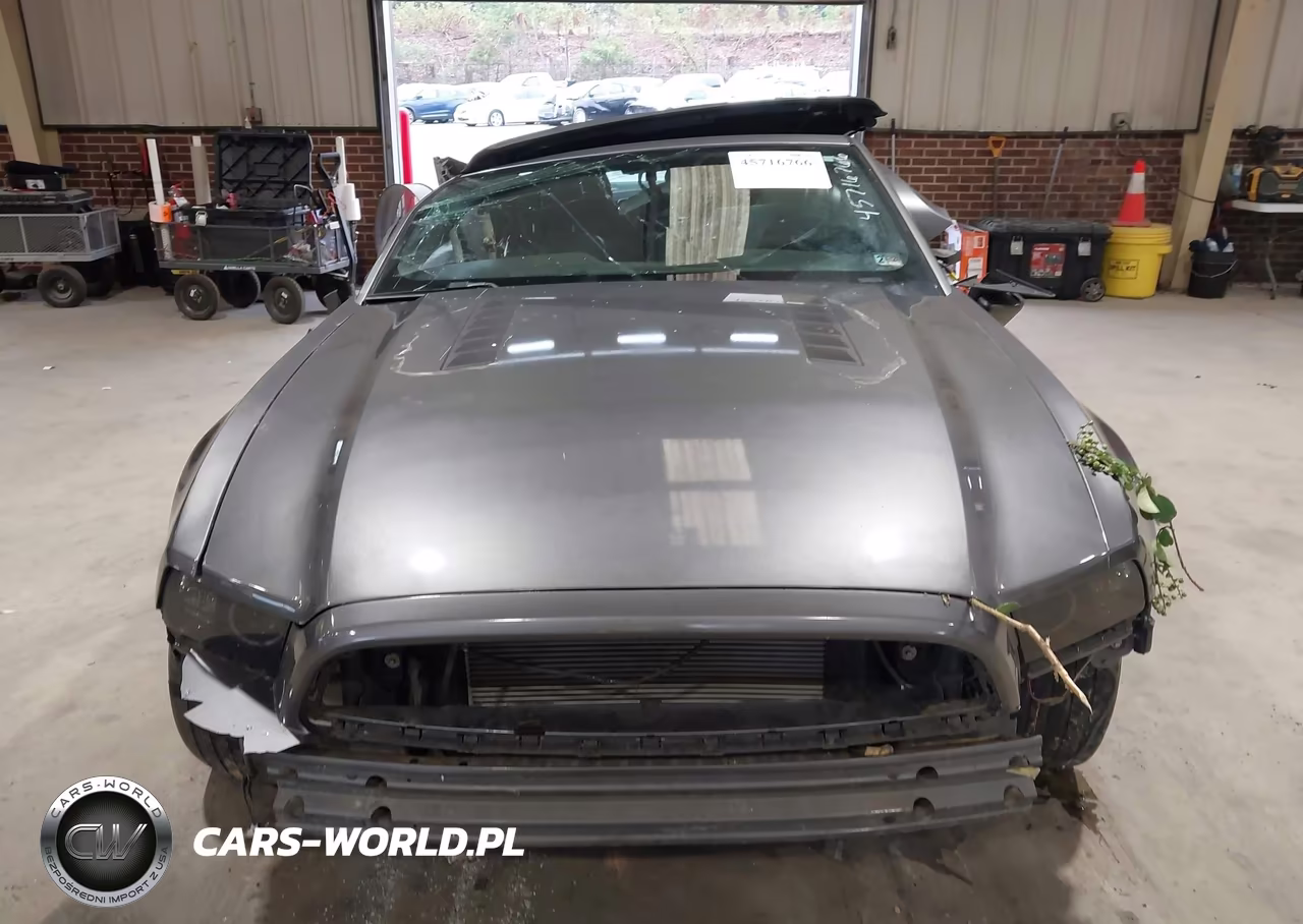 2013 Ford Mustang V6 Premium VIN:1ZVBP8EM6D5265011 - 12
