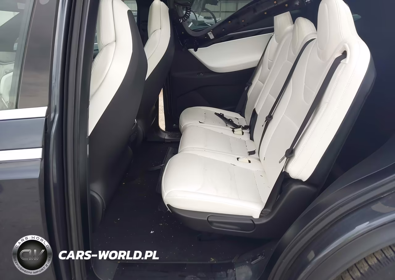 2017 Tesla Model X 100D-75D-90D VIN:5YJXCDE24HF053739 - 8