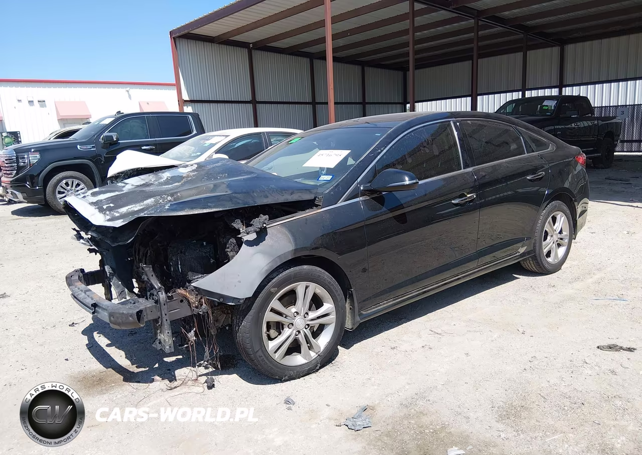 2019 Hyundai Sonata Sport VIN:5NPE34AF5KH763662 - 2