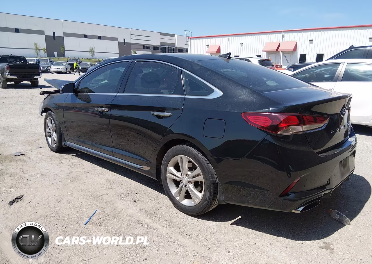 2019 Hyundai Sonata Sport VIN:5NPE34AF5KH763662 - 3