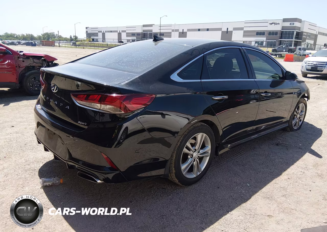 2019 Hyundai Sonata Sport VIN:5NPE34AF5KH763662 - 4