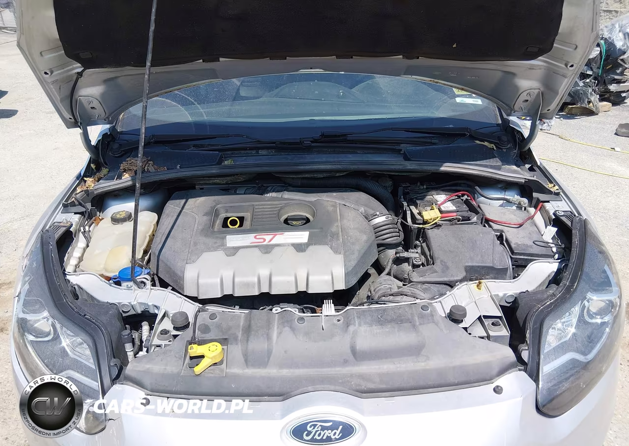 2014 Ford Focus St VIN:1FADP3L95EL116816 - 10