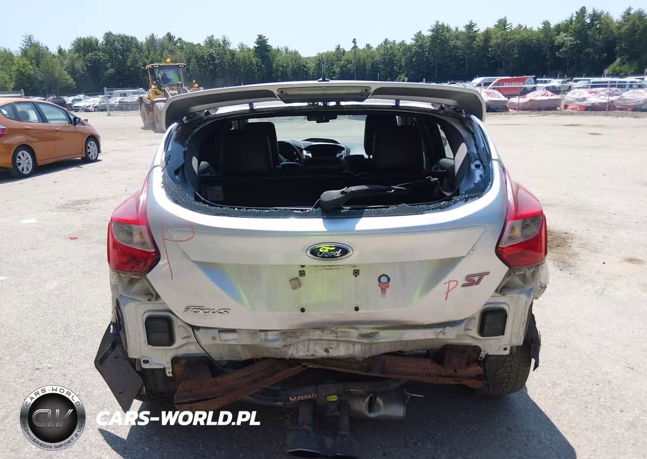 2014 Ford Focus St VIN:1FADP3L95EL116816 - 17