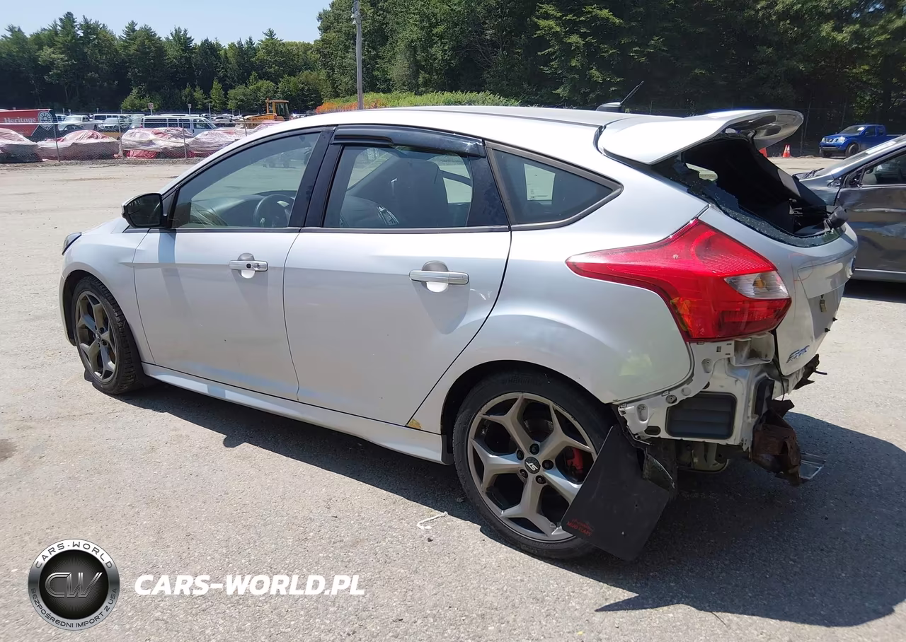 2014 Ford Focus St VIN:1FADP3L95EL116816 - 3