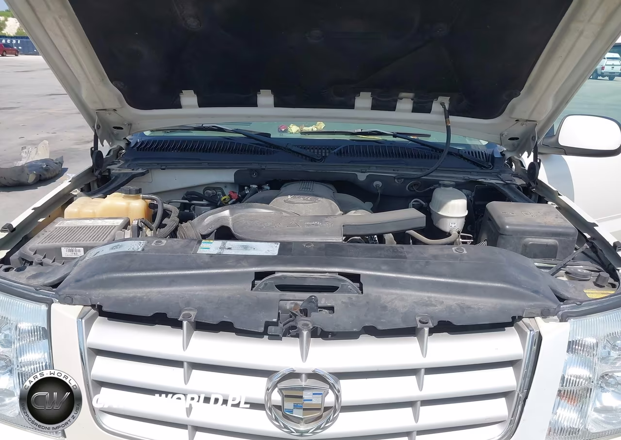 2005 Cadillac Escalade Standard VIN:1GYEK63N05R102471 - 10