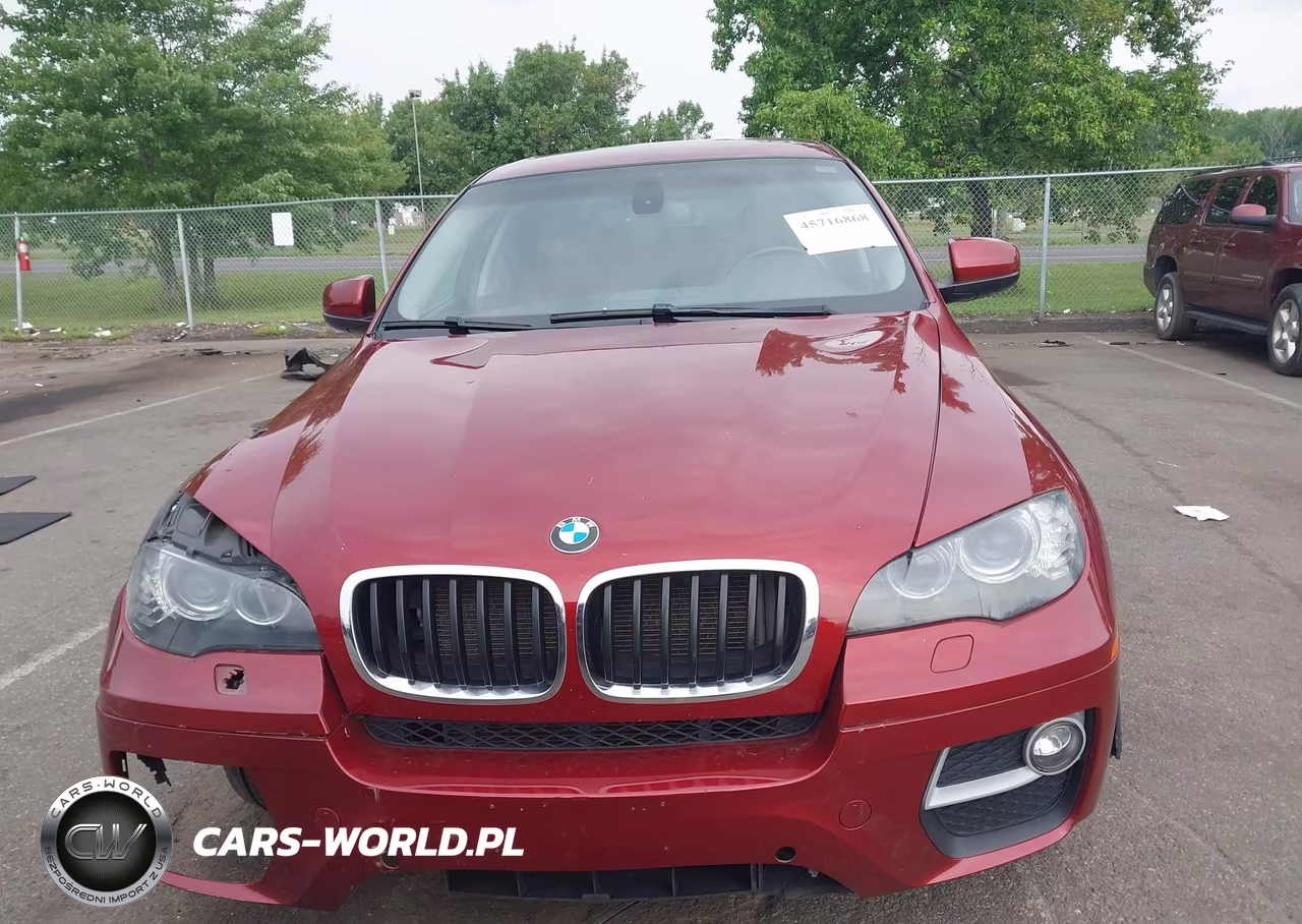 2013 BMW X6 xDrive35I VIN:5UXFG2C52DL784242 - 12